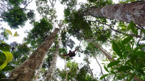Trans Borneo Expedition 2014         
